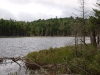 Lower Ripley Pond